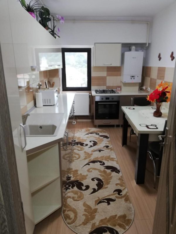 Apartament Ioana -  - Bacău - Târgu Ocna