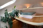 Bright and Pleasant Home -  - Cluj - Cluj-Napoca