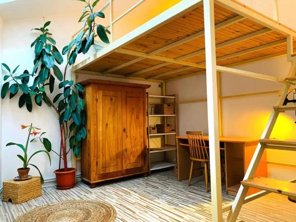 Bright and Pleasant Home -  - Cluj - Cluj-Napoca