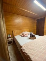 Cabana cu Mesteceni -  - Maramureș - Sighetu Marmației
