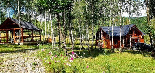 Cabana cu Mesteceni -  - Maramureș - Sighetu Marmației