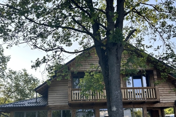 Cabana Pârâul Lupilor - Bucovina - Suceava - Sadova