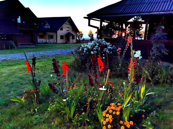 Cabanele FloriCrin - Cabana 1 -  - Cluj - Cluj-Napoca