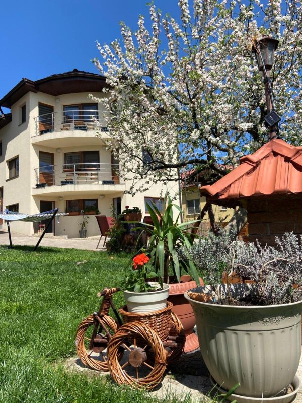 Casa Ana Cluj -  - Cluj - Cluj-Napoca