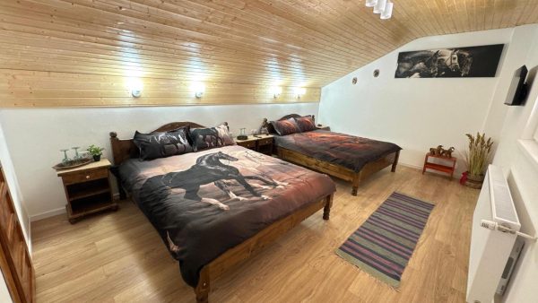 Casa Taraneasca "OM BUN" -  - Sibiu - Alămor