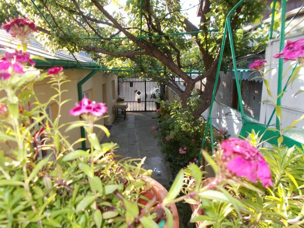 Casa Vlad -  - Constanța - Constanța
