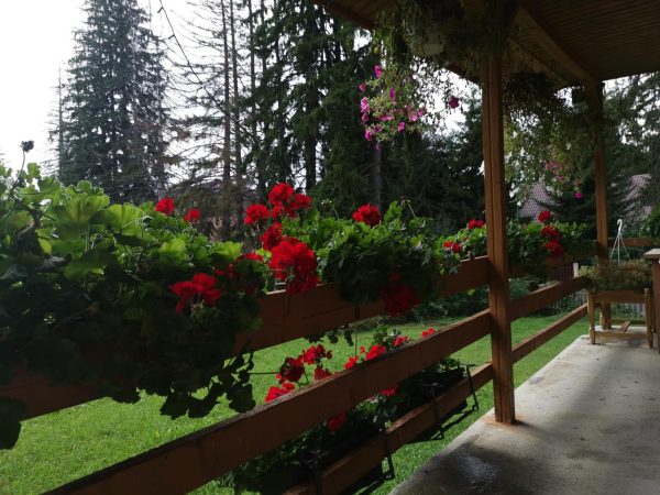 Challet Montan -  - Brașov - Poiana Brașov