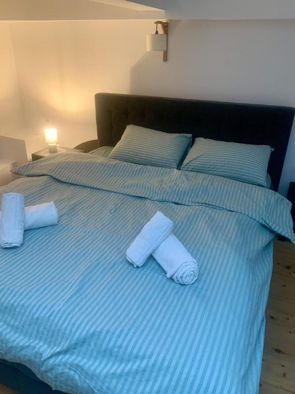 Chic Retreat in the Heart of the City -  - Cluj - Cluj-Napoca