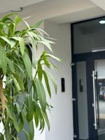 CUBE2 Boutique Apartments -  - Constanța - Mamaia