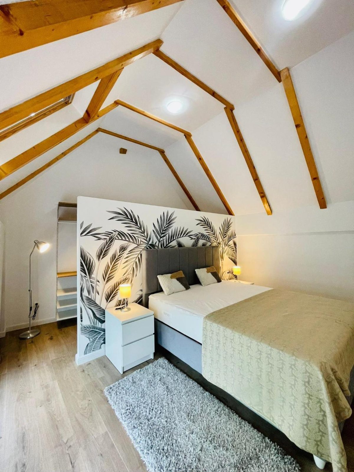 Dendro Apartment-Free parking -  - Cluj - Cluj-Napoca
