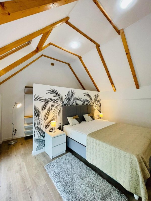 Dendro Apartment-Free parking -  - Cluj - Cluj-Napoca