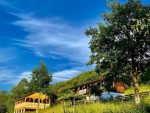 Floare de Maramures 2 -  - Maramureș - Sighetu Marmației