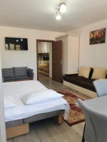 Fully Furnished Studio -  - Maramureș - Sighetu Marmației
