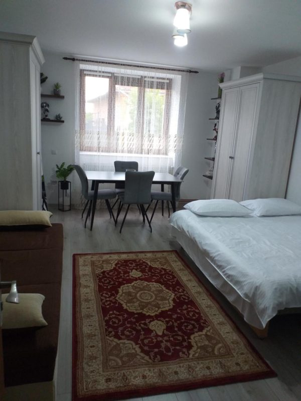 Fully Furnished Studio -  - Maramureș - Sighetu Marmației