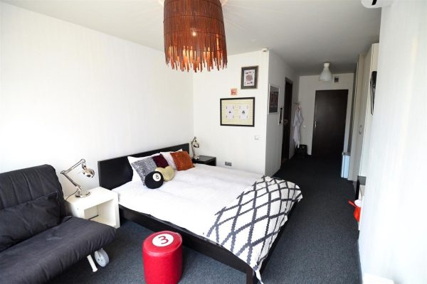 Hotel Biscuit -  - Cluj - Cluj-Napoca