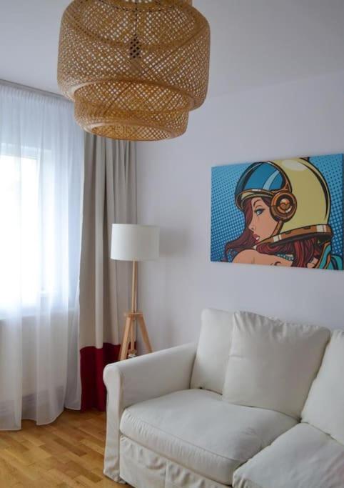 House of joy (Casa Bucuriei)- free joy and parking -  - Cluj - Cluj-Napoca