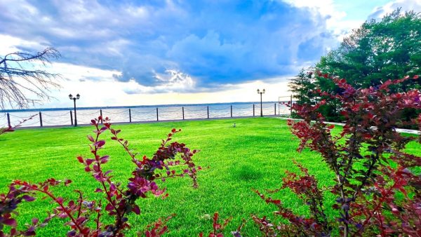 Majestia Apartment Mamaia -  - Constanța - Mamaia