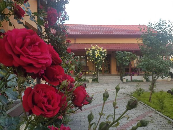 Mill House -  - Cluj - Cluj-Napoca