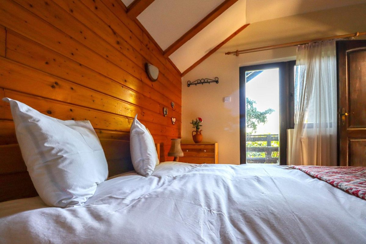 Mountain Family Chalet on Prahova Valley din Comarnic