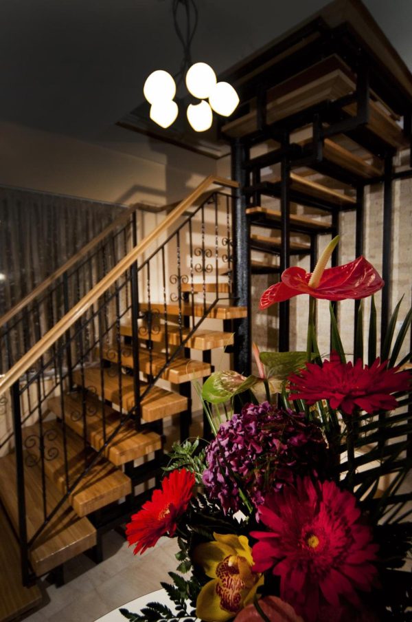 Pension Casa Gia -  - Cluj - Cluj-Napoca