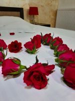 Pensiunea Caramell -  - Cluj - Cluj-Napoca