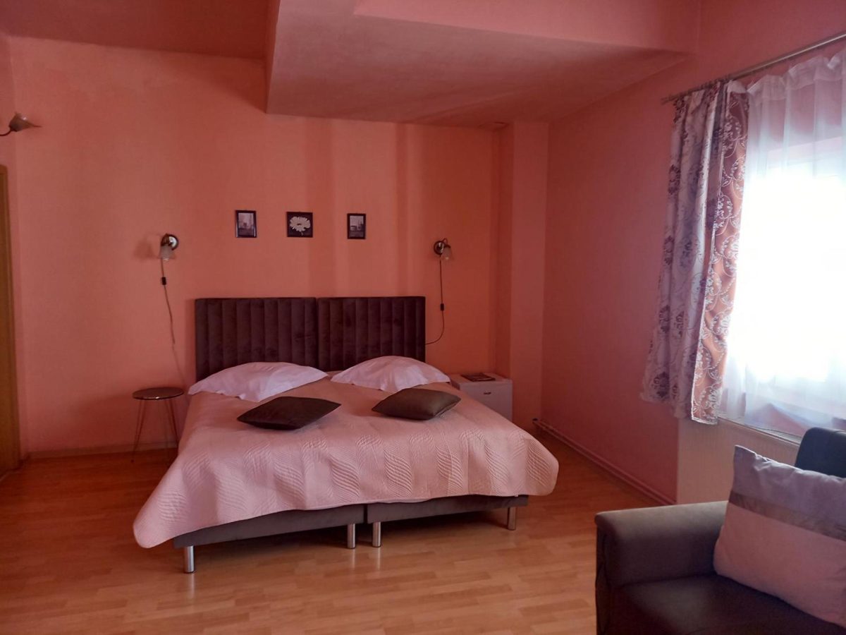 Pensiunea Vila Dana -  - Cluj - Cluj-Napoca