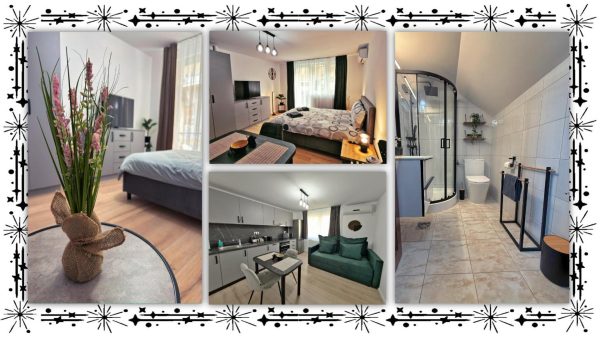 Private House near City Center - Zeno Studios by Ben Apartments - Sibiu și împrejurimi - Sibiu - Sibiu