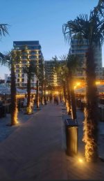 Redward Studio Apart-Resort Mamaia Nord -  - Constanța - Mamaia