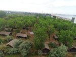 SAVA Residence -  - Constanța - Mamaia