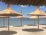 SeaSide Piano Bar Apartament -  - Constanța - Mamaia