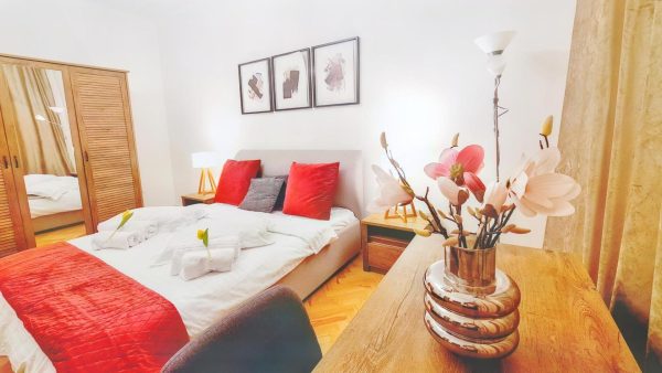 Spacious 5* luxury in historic center free parking -  - Cluj - Cluj-Napoca