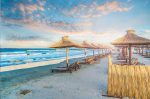 Vega Beach Apartment -  - Constanța - Mamaia