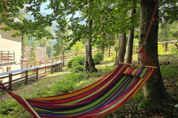 Vila Cristalfrost - Transilvania - Brașov - Poiana Brașov