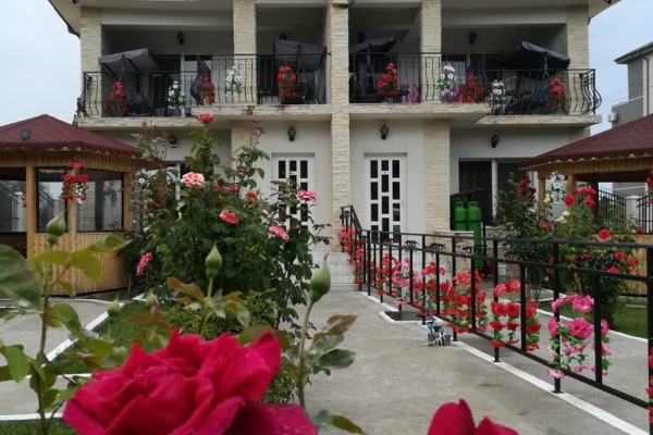 Vila Diana Patricia - Litoral - Constanța - Mamaia