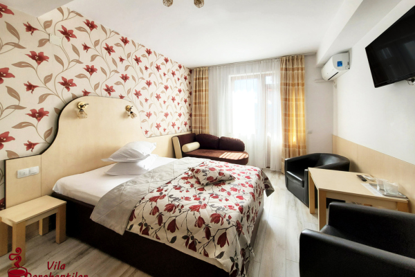 Vila Dorobantilor -  - Cluj - Cluj-Napoca