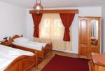 Vila Nicoleta -  - Sibiu - Sibiu