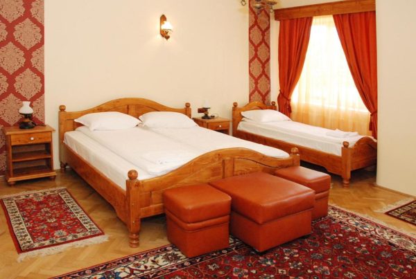 Vila Nicoleta -  - Sibiu - Sibiu