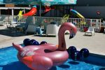 Vila Sangria - Litoral - Constanța - Mamaia